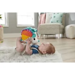 Fisher Price Fisher-Price Hedgehog Refreshed Siilipehmo -Ulkolelut myymälä 194735000265 4