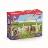 Schleich Horse Club 42458 Hannahin Hoitohevoset Ja Ruby-koira