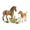 Schleich Horse Club 42432 Horse Clubin Sarahin Eläinvauvanhoitosarja