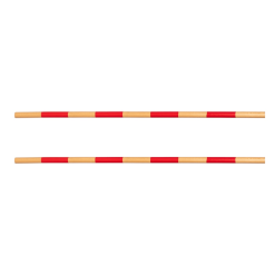 Astrup Keppihevosesteen Lisäpuomit 2 Kpl Pakkaus