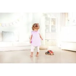 Hape Lajitteluleppäkerttu 5 Hape Lajitteluleppäkerttu -Ulkolelut myymälä 6943478034969 3