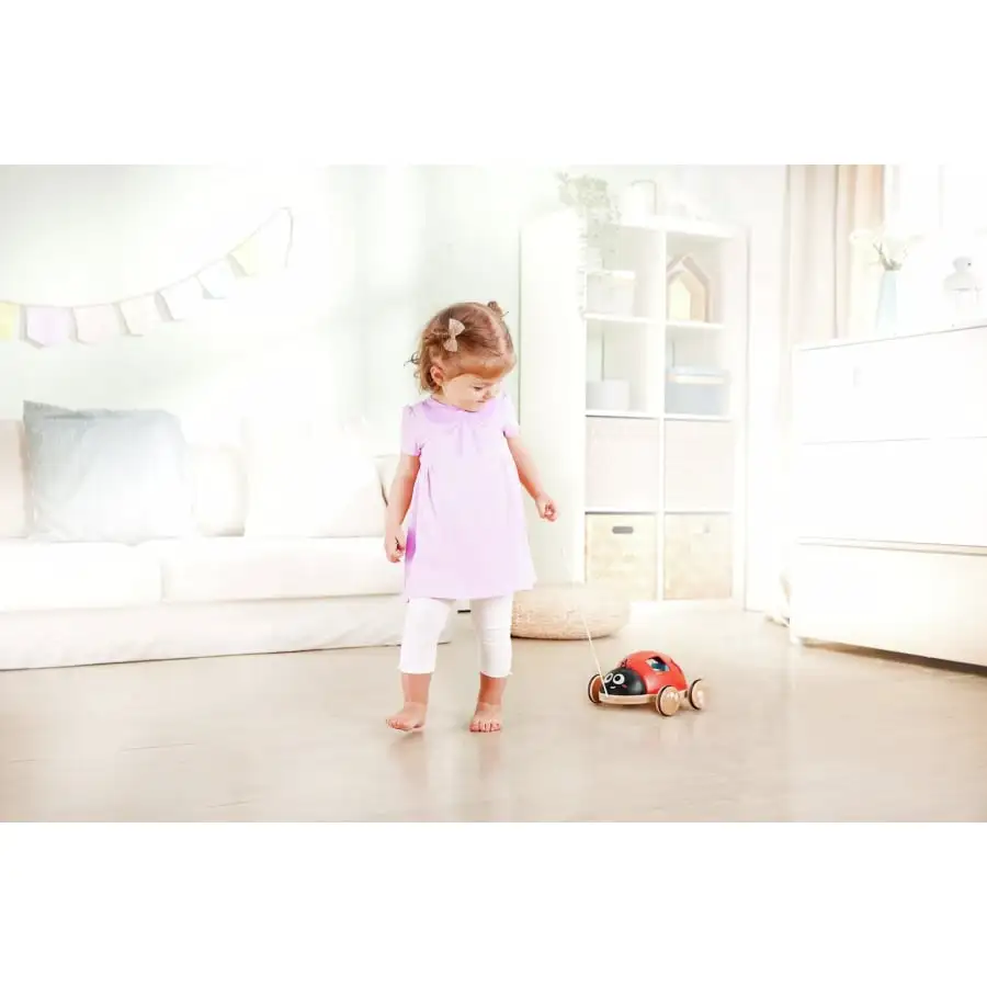 Hape Lajitteluleppäkerttu 3 Hape Lajitteluleppäkerttu - Image 3