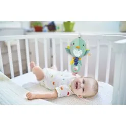 Clementoni Lintu Soittorasia -Ulkolelut myymälä 8005125172696 4